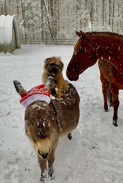 EC Photo of the Day- Snow Day!