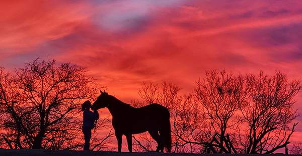 EC Photo of the Day- Dream in Color