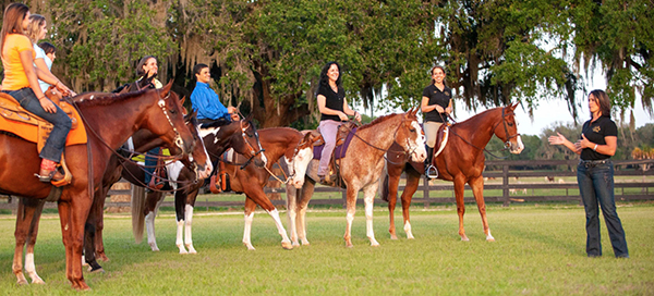 Markel APHA Professional Horseman Program Accepting Applicants