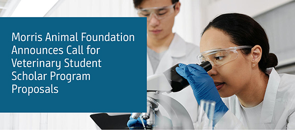 Morris Animal Foundation Announces Call for Veterinary Student Scholar Program Proposals