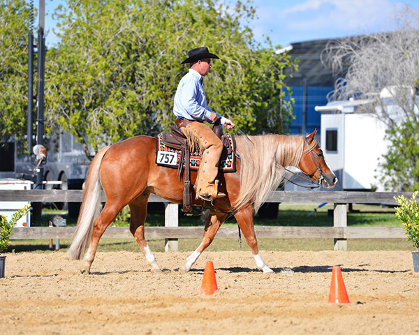 More Around the Ring Photos- FL Gold Coast