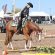 2D Jackpots Added to Trail, Ranch Riding, and Reining at Sun Circuit