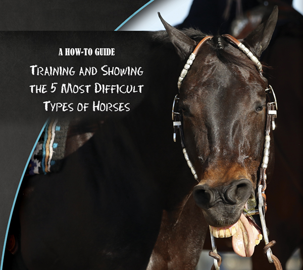 Training and Showing the 5 Most Difficult Types of Horses