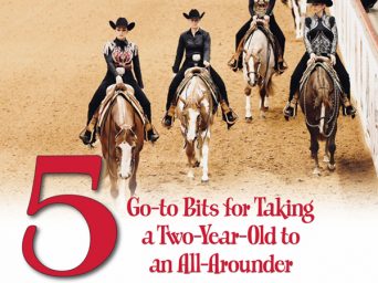5 Go-to Bits for Taking a Young Horse to an All-Arounder