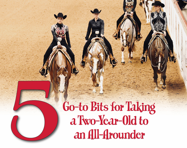 5 Go-to Bits for Taking a Two-Year-Old to an All-Arounder