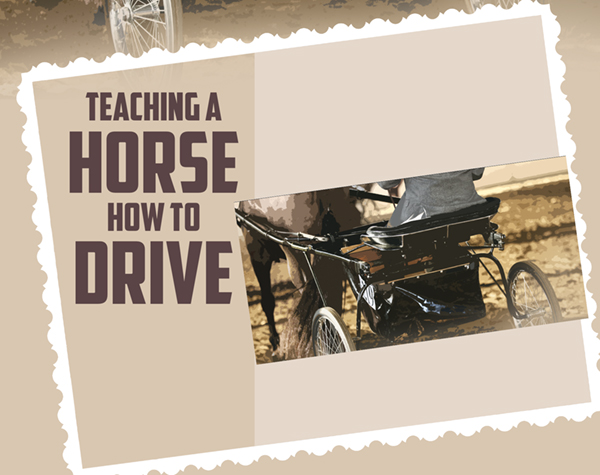 Teaching a Horse How to Drive