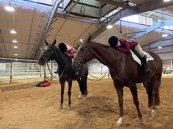 EC Photo of the Day- Horse Showing is Hard Work