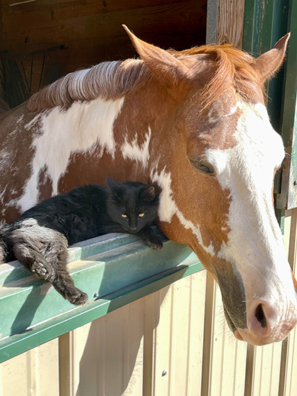 EC Photo of the Day- Best Buddy