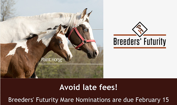 APHA Breeder’s Futurity Mare Nominations Due Feb. 15th