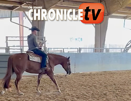 EC TV- The Ultimate Multi-Tasking Horse Trainer