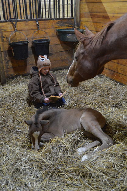 EC Photo of the Day- Reading Time