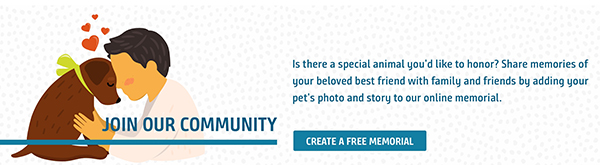 Animal Foundation Creates Pet Memorial Online Community