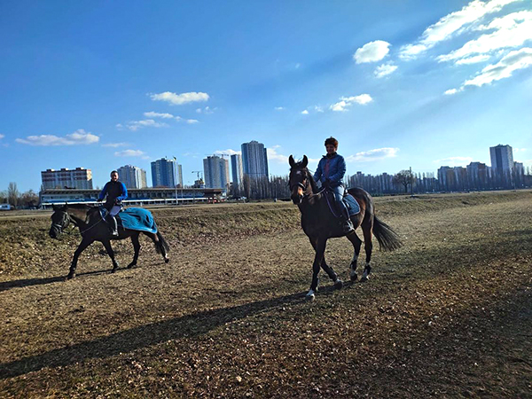 The Plight of Ukrainian Horses- One Stable’s Story