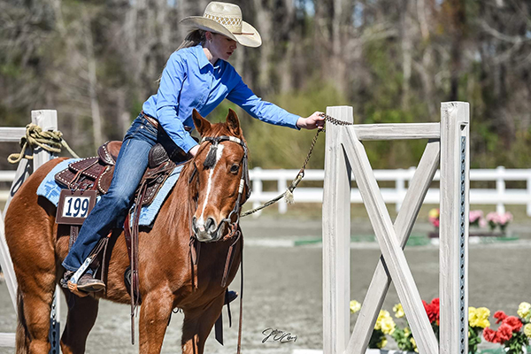 More Around the Ring Photos- Palmetto Paint Horse Club March Madness