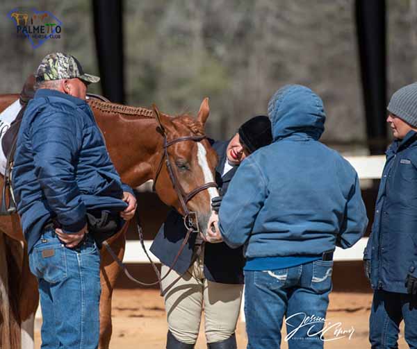 EC Photo of the Day- Yes, My Horse is Quite Beautiful