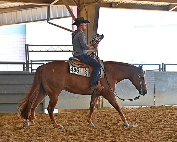 Dixie National Celebrates 56th Anniversary as “The Southern Classic”