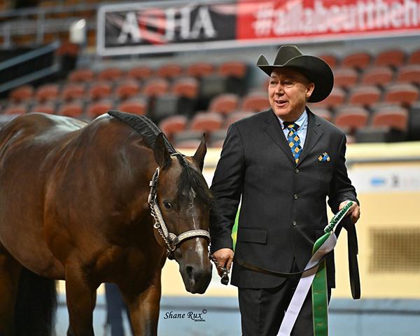 AQHA 2021 High Point Standings Finalized