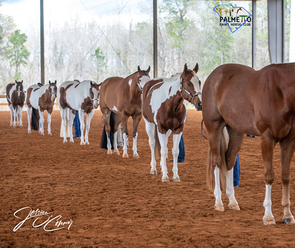 EC Photo of the Day- Pretty Paints All in a Row