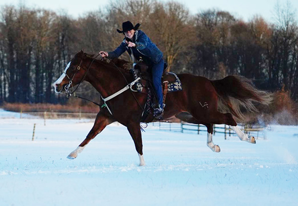 EC Photo of the Day- Running Towards the Start of Show Season!