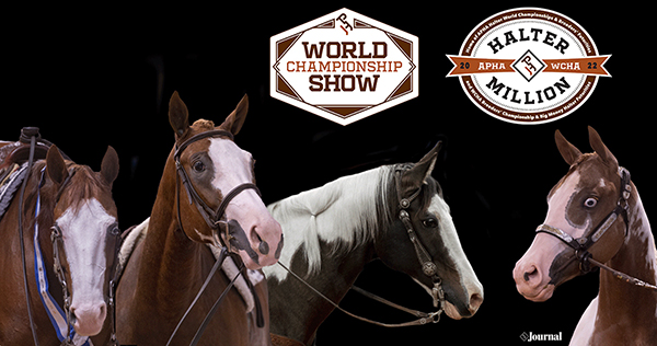 Leading Breeder Award Added to 2022 APHA World Show and Halter Million Prize Lists