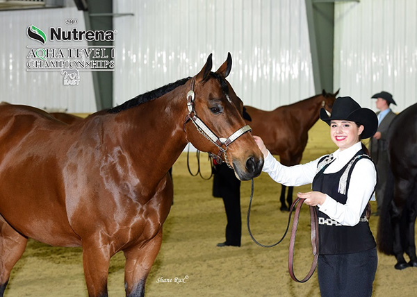 Deadline Approaching For AQHA West Level 1 Championship