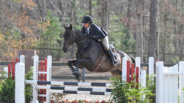 Donated Rescue Horse From Kill Pen Named NCEA Horse of the Month