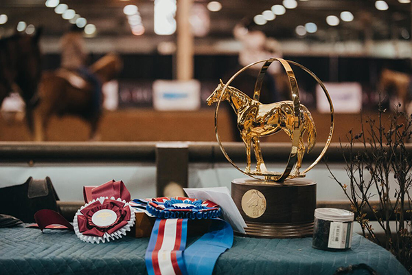 AQHA: Keep Up With the Success of Your Horse in One Place