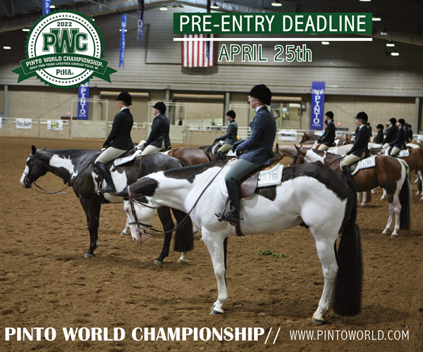 Entry Deadline Coming Up Fast for 2022 Pinto World Championship Show