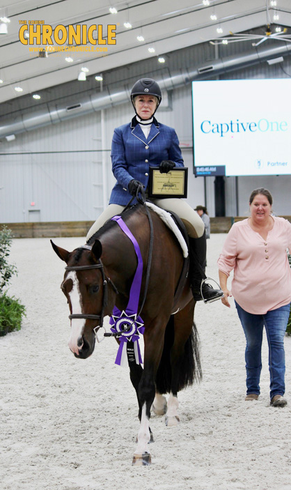 Results from NSBA Amateur Walk Trot Hunter Under Saddle at A Sudden Impulse