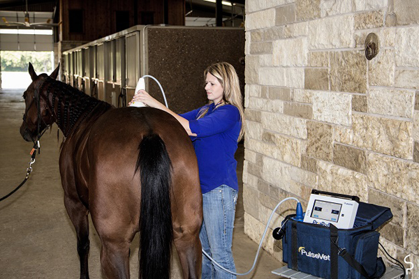 PulseVet Designated as the Official Shock Wave Therapy of AQHA