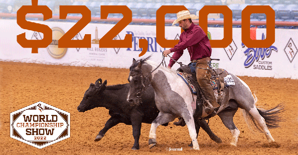 $22,000 in Cow Horse Cash On the Line at Paint World