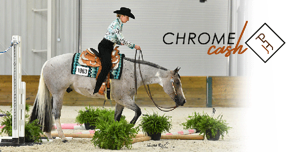 $20,000 Chrome Cash for Paints at the A Sudden Impulse NSBA Show & Futurity