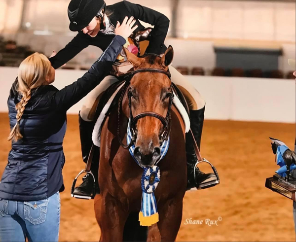 Billings Quarter Horses Acquires Multiple World and Congress Champion HotForYourHonor
