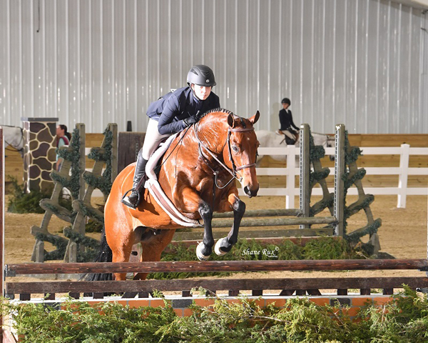 Results Online for Largest Nutrena AQHA Level 1 Championships in AQHA History