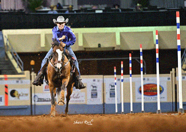 2022 Ford AQHYA World Schedule Released