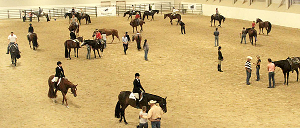 Nutrena Ride the Pattern clinics at the 2022 Nutrena AQHA West Level 1 Championships