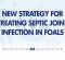 New Strategy for Treating Septic Joint Infection in Foals