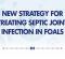 New Strategy for Treating Septic Joint Infection in Foals New Strategy for Treating Septic Joint Infection in Foals