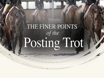The Finer Points of the Posting Trot