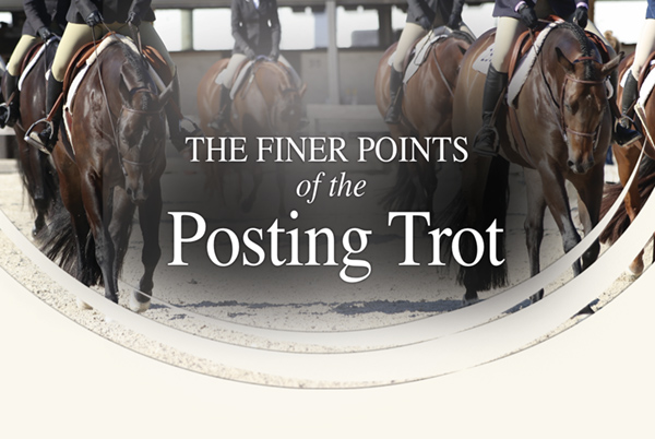 The Finer Points of the Posting Trot
