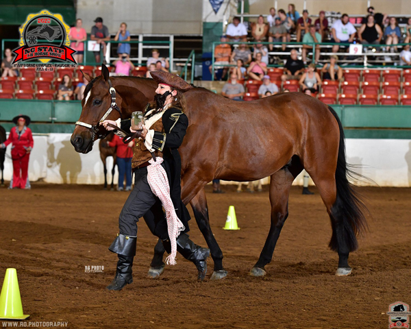 NC State 4-H Horse Show Alumni Showmanship Class