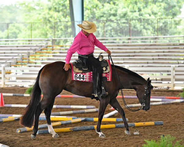 Around the Rings Photos and Results – GQHA Stars and Stripes