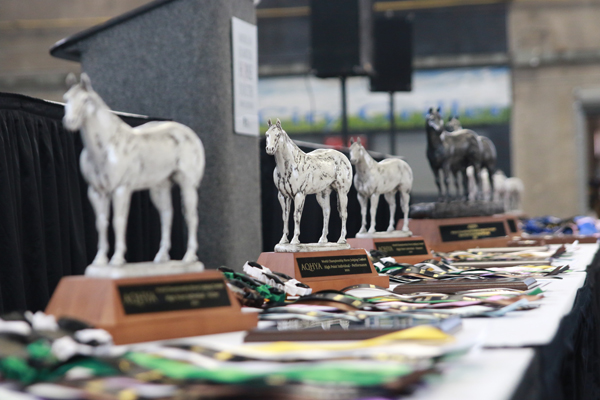 Volunteer Your Horse for the AQHYA World Championship Horse Judging Contest