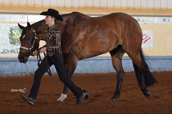 Free Ride the Pattern Clinics at the 2022 Ford AQHYA World Championship Show.
