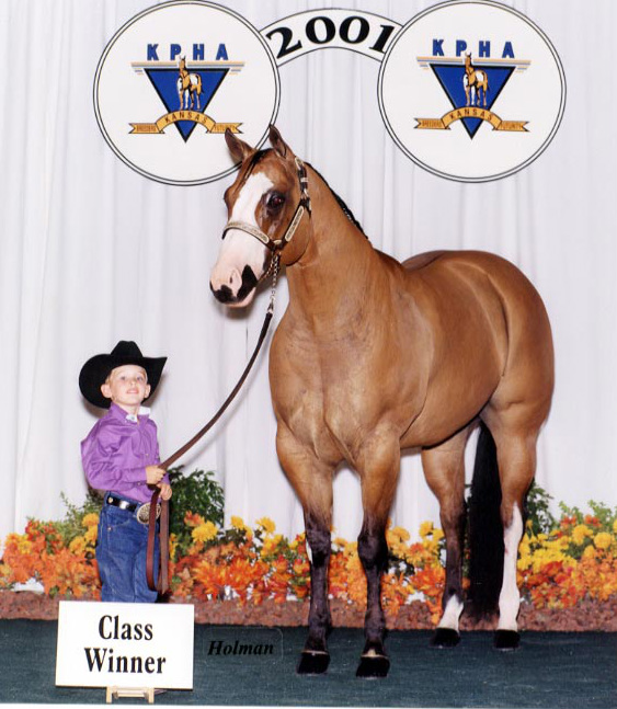 Fashion Designer Mason Burns Plans a Return to the APHA Show Arena