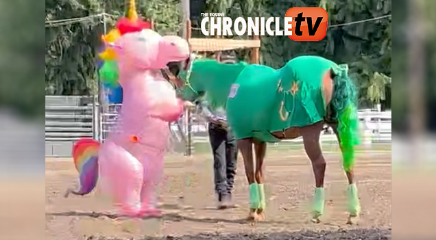 EC Video of the Day – Unicorn Showmanship
