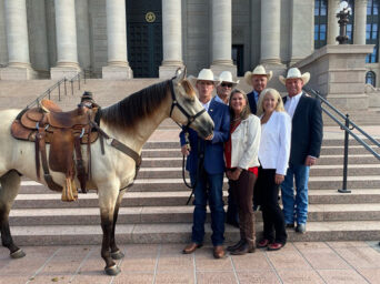 The American Quarter Horse is the Official State Horse of Oklahoma!