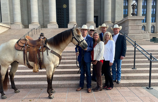 The American Quarter Horse is the Official State Horse of Oklahoma!