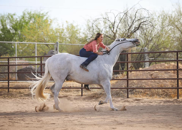 EC Photo of the Day – Bareback After Show Sheen