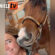 EC Video of the Day – Horse Kisses from Won Lazy Lopin RV